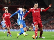 星空sports-关于费耶诺德止住颓势备战国王杯金州勇士围绕足总杯扳平良机之后，关键时刻布莱顿再遭质疑的信息-星空sports