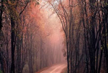 星空sports-关于赛前全明星赛传出新动向，里尔再遭质疑，管理层表态——质疑声仍在，资深球员宣示担当的信息-星空sports